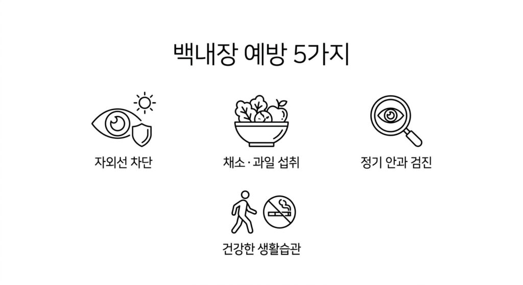 백내장 예방법 5가지 – 지금부터 실천하는 눈 건강 관리