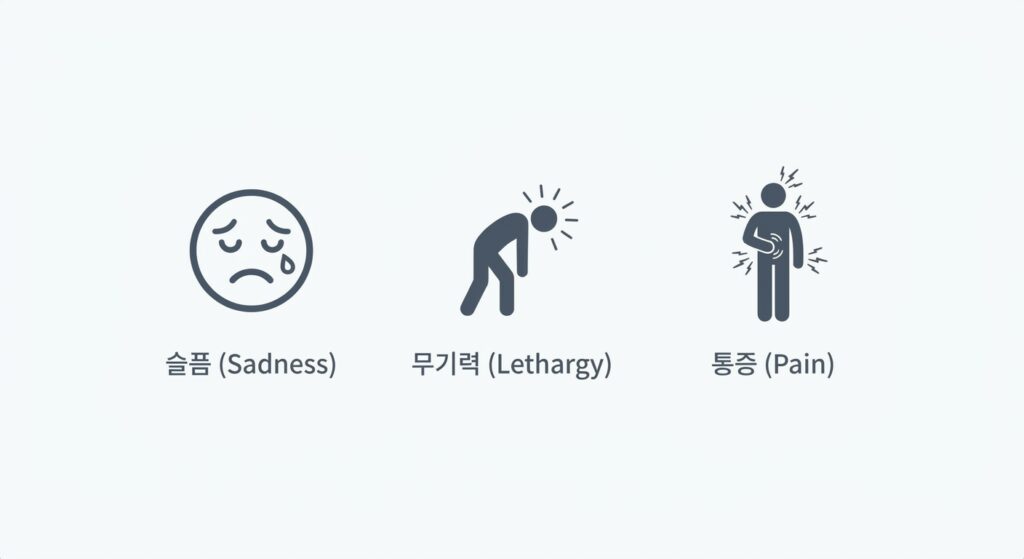 노인 우울증의 주요 증상과 특징